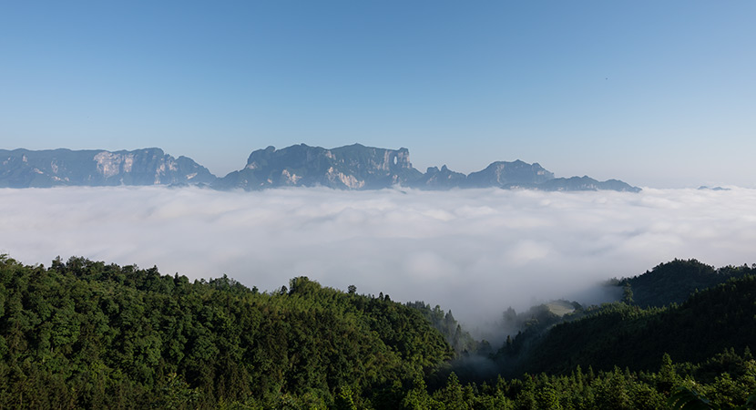 张家界市天门山云海