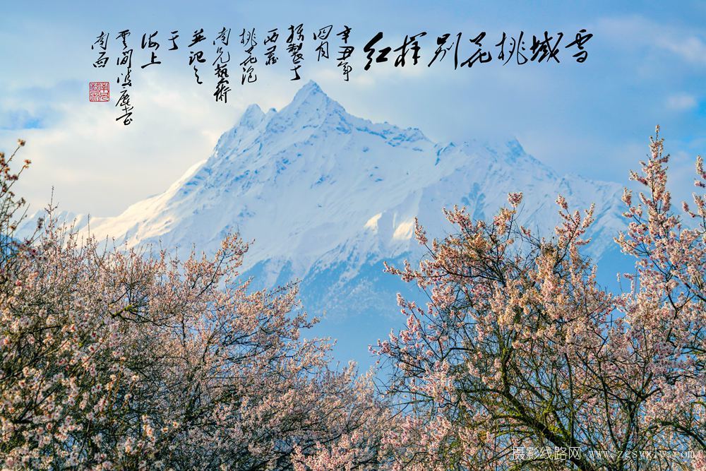 雪域桃花