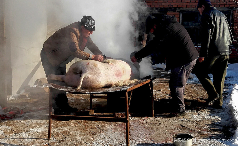杀年猪