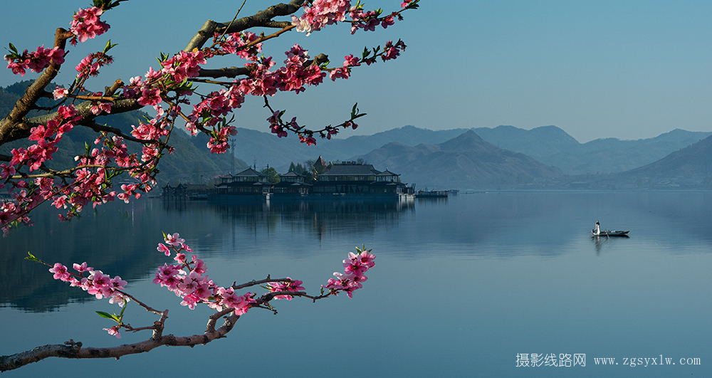 桃花盛开的地方