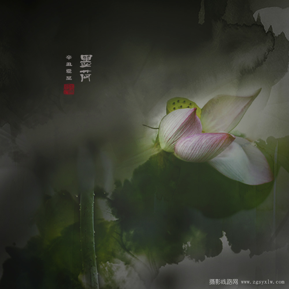 荷语