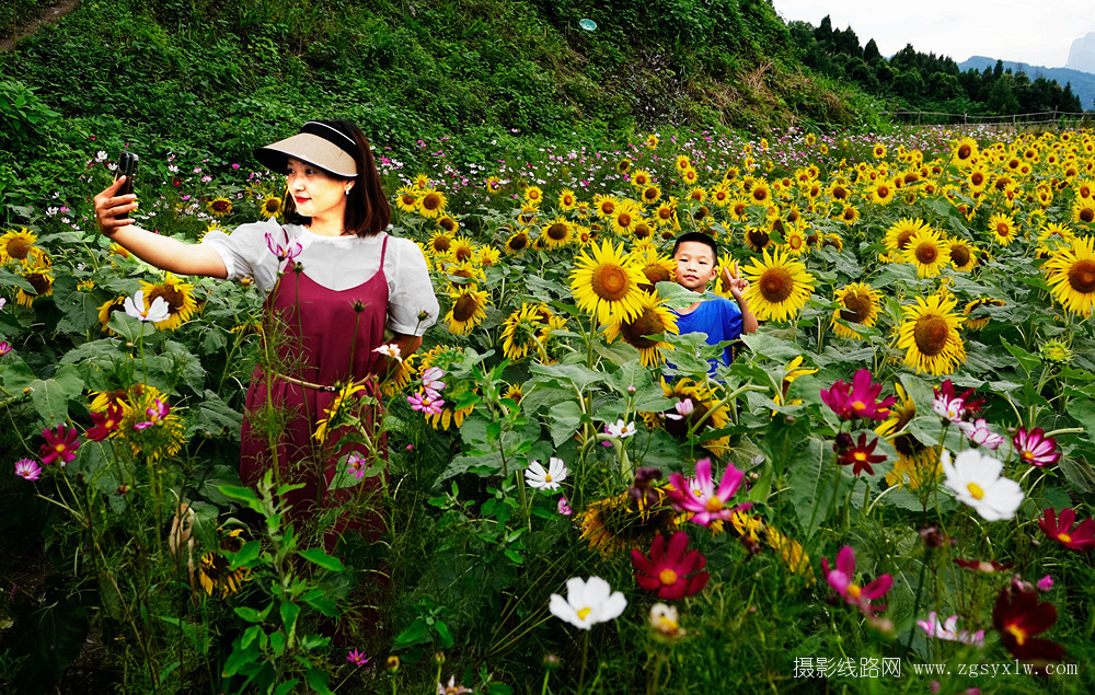 花丛中