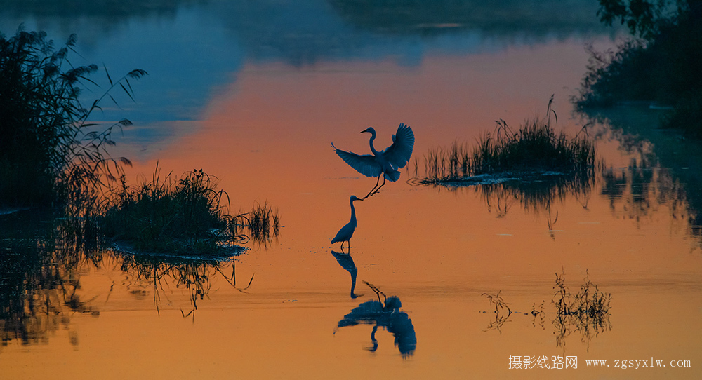 白鹭洲夕照明