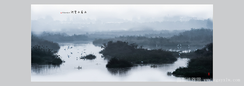 雨后白鹭洲