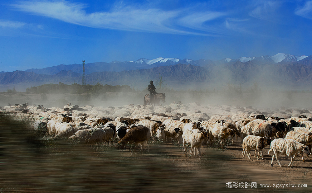 孤独的牧羊人