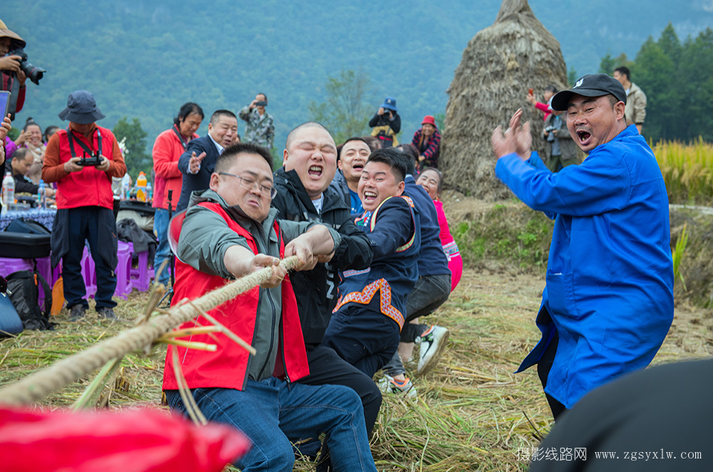 丰收的喜悦