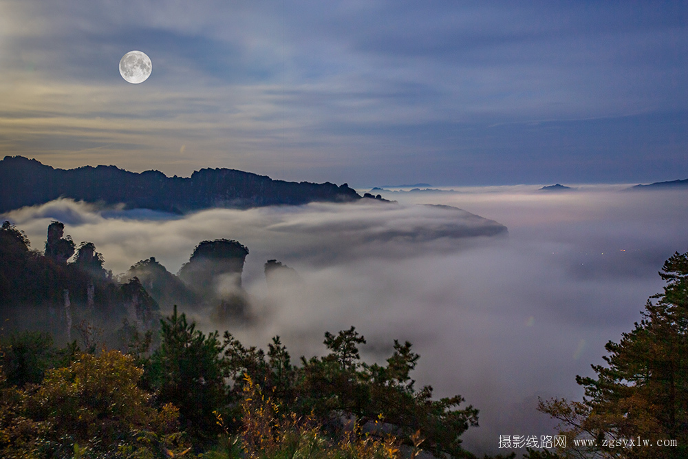 月光下的天子山