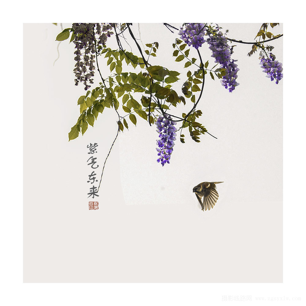 紫气东来