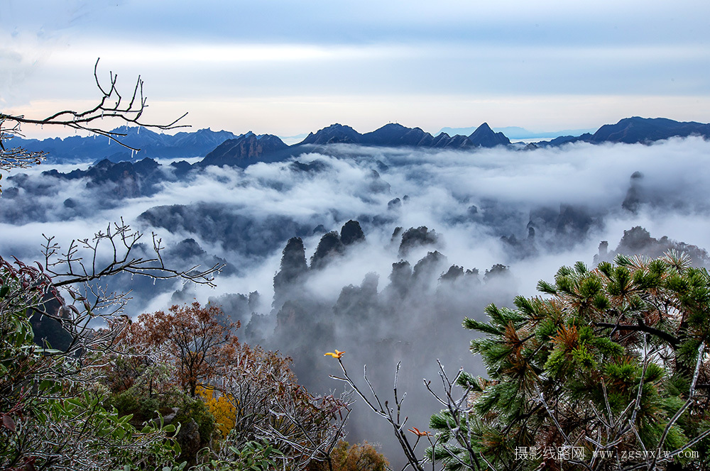 天子山冰凌