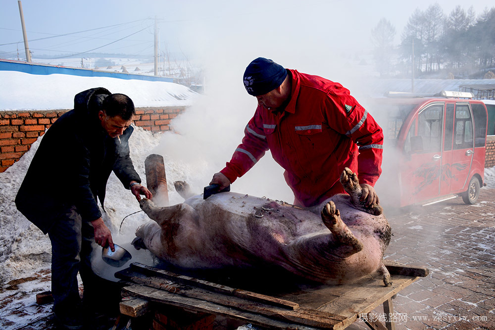 杀年猪