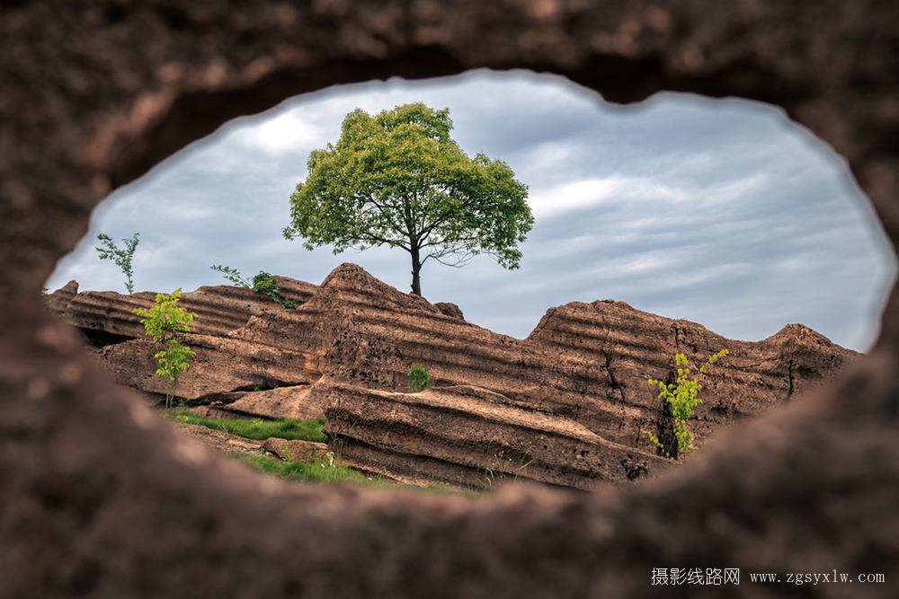 云上花石林