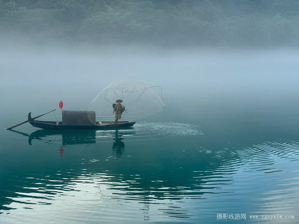 一“网”情深