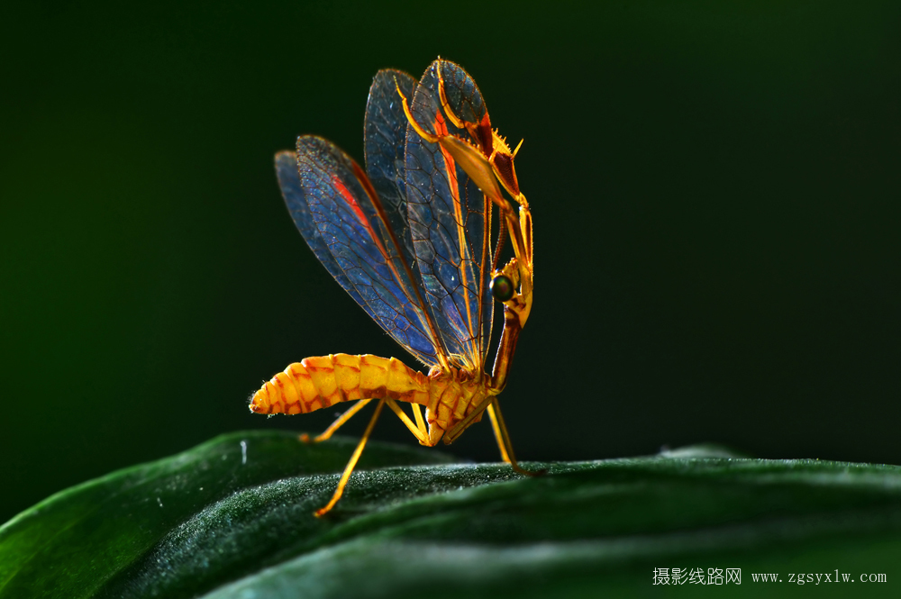 伸个懒腰