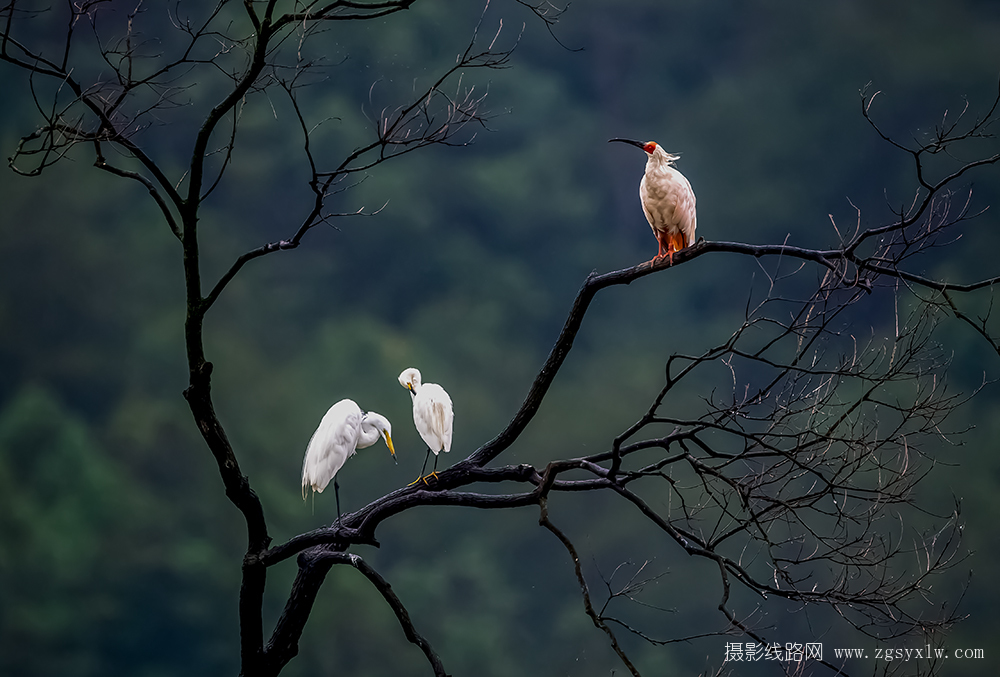 小憩