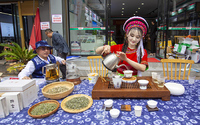 茶艺展演