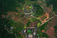 石堰坪春色