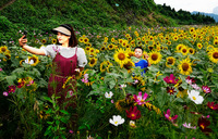 花丛中