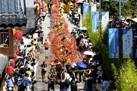 百米水龙祈丰年