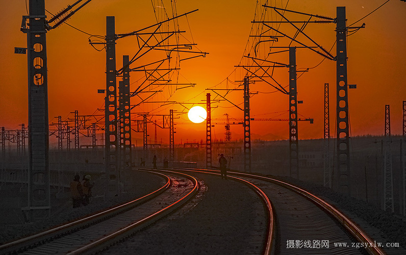 夕阳红