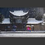 风霜雪雨