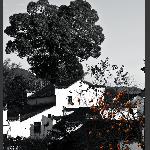 梦里乡村