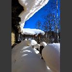 雪乡