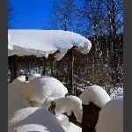 雪乡