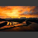 天门山后后花园
