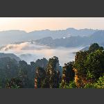 天子山景色(一)