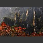 天子山景色(二)