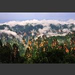 天子山景色(三)