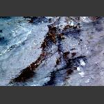 《水.印》之三