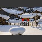 雪乡