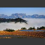 后天门山