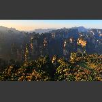 张家界大峰林