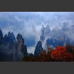 天子山秋韵