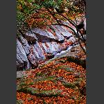 魅力光雾山