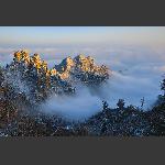 天子山雪