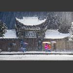 风霜雪夜