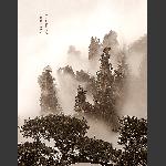 仙女下凡来