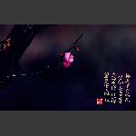 梅园诗赋