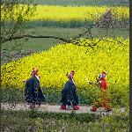 http://china.eto99.c