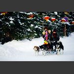 风雪回家路