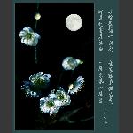 梅花赞
