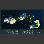 梅花赞