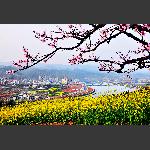 桃花城