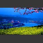 夜色迷人