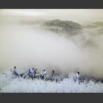 身临仙境