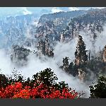 秀美天子山