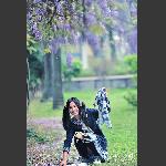 《摇曳的紫藤》